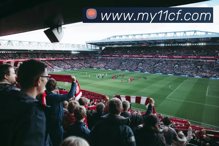 多媒体互动体验