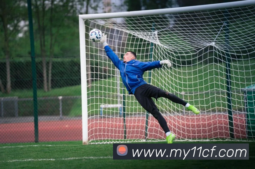 数据防护可视化